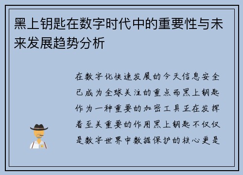 黑上钥匙在数字时代中的重要性与未来发展趋势分析